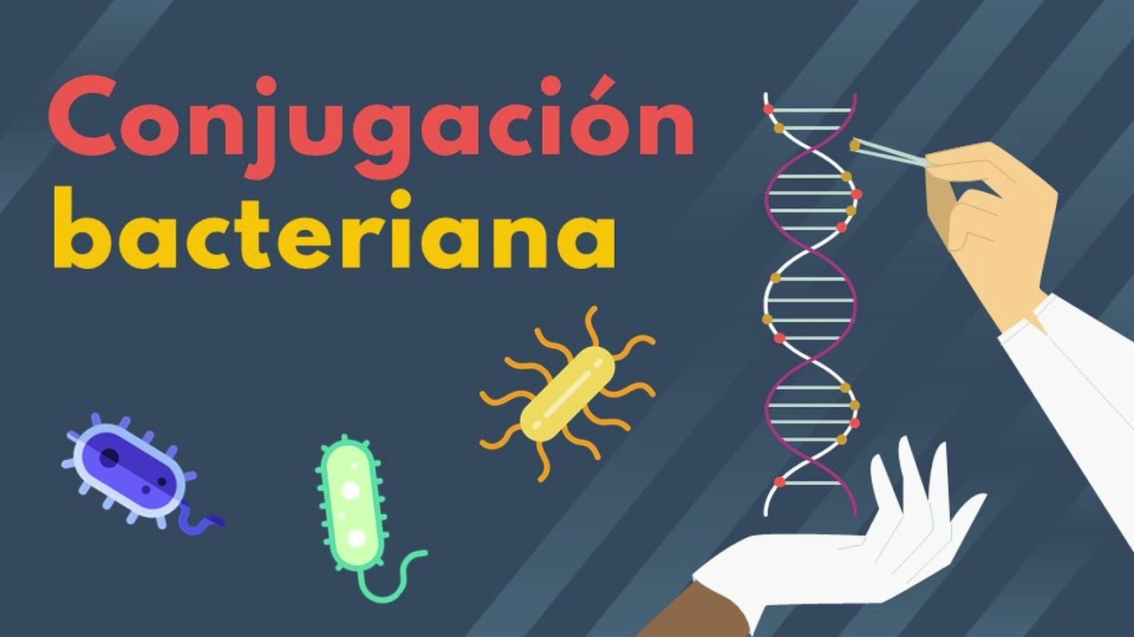 Fotograma de presentación del video