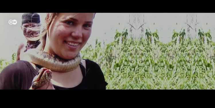 Fotograma de presentación del video